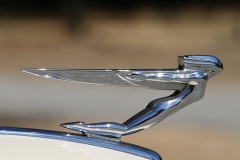 auburnhoodornament
